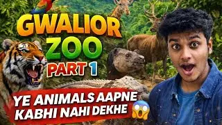 JOURNEY TO THE GWALIOR ZOO 🌲🐅🐆🦁🦛🦓🦒#zoo #adventure #children #babyshorts 
