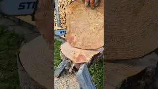 🌲🍪🪵🪚Making big wood cookies with the chainsaw🌲🍪🪵🪚 #woodworking #chainsaw #stihl #shorts #shortsvideo