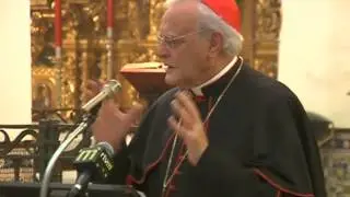 Conferencia Cardenal Amigo Vallejo