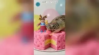 SEA TURTLE EATS PINK BIRTHDAY CAKE DOLL 🎂 #Cake #EatingShow