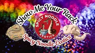 Show Me Your Rack- Ep. 32- Spicy Noodle Exotics