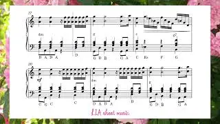 Ballade pour Adeline _ Paul de Seneville (accordion)