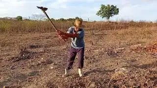 Hoje foi dia de destocar uns tocos a terra tá dura o sistema é bruto mais nois infrenta...