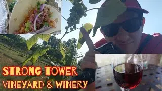 Strong Tower Vineyard and Winery Spring Hill, Florida Tour