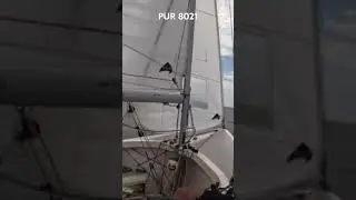Albacore sailing, Helly Hansen Regatta upwind. #regatta #sailing ng