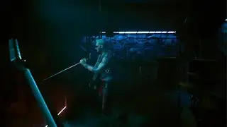 Johnny silverhand rock n roll gig