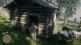 Vetter's Echo Grizzly Bear Locations Red Dead Redemption 2