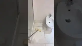 Will deep cleaning make this bathroom spotless? 😲🧽 #cleanup #bathroom #beforeafter #clean #viral