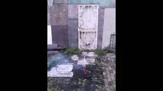 Jester rocket firework