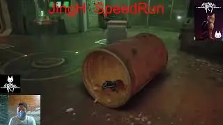 Stray   Speedrun Midtown