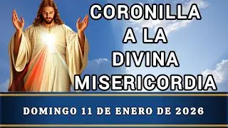 CORONILLA A LA DIVINA MISERICORDIA: Oraci&oacute;n de Intercesi&oacute;n y Perd&oacute;n, 11 de Enero de 2026