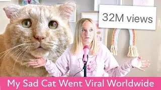 Why My Cat Went Viral (32 Million Views, The Dodo & Good Morning America)