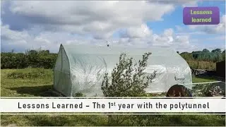 Lessons Learned (The first year with the polytunnel)