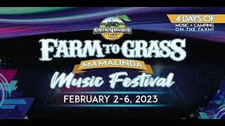 Jon Stickley Trio  ~COMPLETE SET (Saturday)~   at MamaLinda Music Festival 2023
