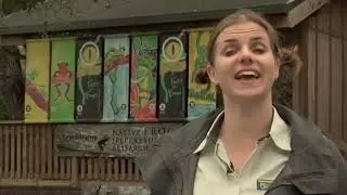 Meet the Locals: Frog Recovery