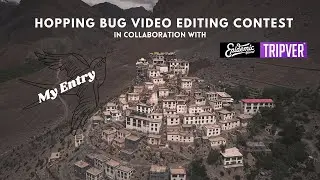My Entry for the Hopping Bug Video Editing Contest in Collaboration with Tripver & Epidemic Sound
