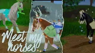 Meet Some of my main horses! #roblox #whi #wildhorseislands