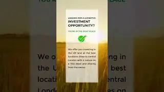 Looking for a lucrative investment opportunity? you are in the right place.