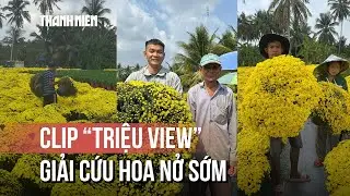 Hoa nở sớm, người trồng rơi nước mắt: Clip 