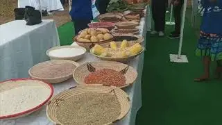 UN&nbsp;World Food Programme and MoHSS host&nbsp;1000 Days Campaign- nbc