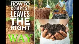 LEAF COMPOSTING METHOD