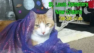 The Haunted New Orleans' St Louis Cemetery | The Cat-Files
