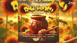 Problem Child - Not Normal (Raw Honey Riddim) | Soca 2026