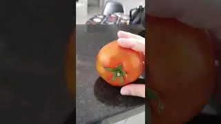 CUIDADO TOMATE