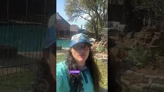 Texas Freezes Are Back. Winterize Your Sprinkler System Early!