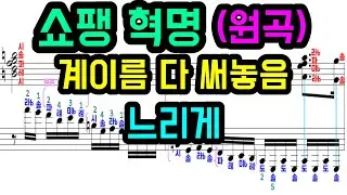 쇼팽 혁명 느리게 | Chopin etude op.10 no.12