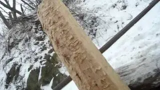 Hewing Pawlonia Wood to make Radio Zither