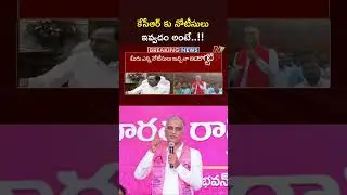Harish Rao Comments on SIT Notice To KCR | NTV