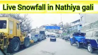 Snowfall In Nathiya Gali/Live Snowfall in Nathiya gali/Murree Galliyat heavy snowfall 