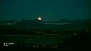 Lightseeds - Moonlit Vibes