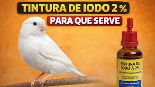 Tintura de iodo 2% pra que serve?