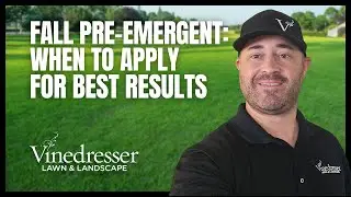 Fall Pre-Emergent: When to Apply for Best Results