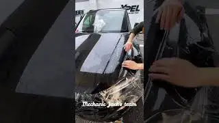 Audi SQ5 Bonnet Transparent Wraps