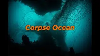 Corpse Ocean / Gameplay video  / Full walkthrough / No commentary