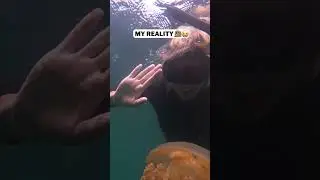 Instagram VS Reality - Swimming With Millions of Jellyfish