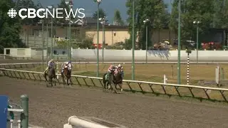 Hastings Racecourse to lose out on slot machine revenue
