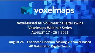 Voxel Based 4D Volumetric Digital Twins