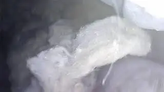 Видео осмотр дымохода газового котла