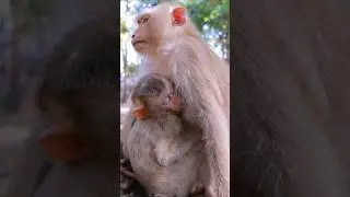 Lovely Mum Linda With Her Son Lumi