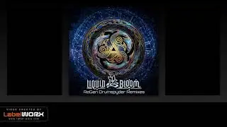 Liquid Bloom feat. Deya Dova - Resonant Migration (Drumspyder Remix)