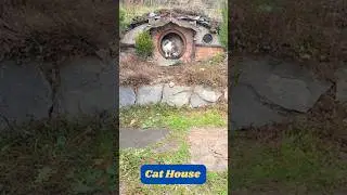 Look at the beautiful cat house #shorts #house #viral
