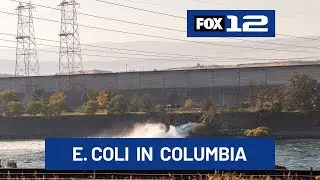 Wastewater plant in The Dalles finds unhealthy levels of E. coli in outflow to Columbia