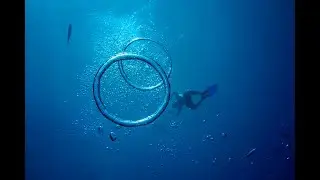 We Are Wreck Life - US Virgin Islands Dive Shop