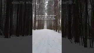 Not every walk needs  destination.Some are just quiet, snowy, and exactly what you need to reset ❄️