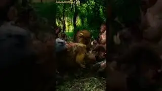 Lion and Lioness Ambush Hunters in the Golden Savanna &ndash; Unbelievable Encounter!  #shortvideo #short