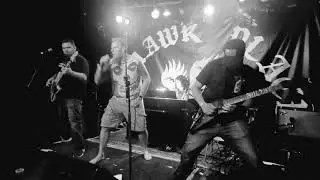 Tattooed Numbers (live)